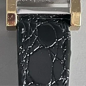 J. B. Champion Two-Tone Modernist Tank Watch - NWOT m_654abc1852eee190494ed084.jpg main image 2
